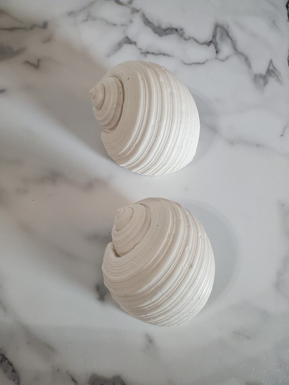 2 White Faux Conch Seashells Beach Decor - Picture 4 of 10